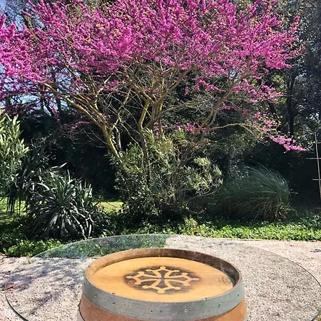 Le Nid Des Corbieres 3* Bizanet