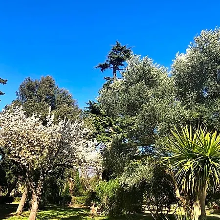 Le Nid Des Corbieres فندق مبيت وإفطار